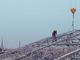 cantiere con Mole sullo sfondo