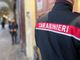 Carabinieri in azione