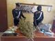 carabinieri e droga