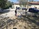 Ha ricominciato a respirare da sola la bimba travolta a Chieri da suv. Ma le sue condizioni restano gravi. Lo affermano fonti sanitarie