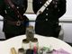 Villar Perosa, 19enne di Porte trovato in possesso di marijuana