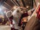 la casa di babbo natale