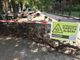 CasaPound torna in corso Dante contro la caduta degli alberi