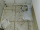 Sequestrati 155 kg di alimenti mal conservati in un locale di San Salvario