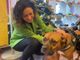 caucino e cane