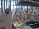 Chef sostenibili si cresce: al via il progetto didattico &quot;Share a Meal&quot;