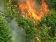 Lotta contro gli incendi: in Piemonte prosegue la massima allerta