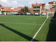 Il campo del Collegno Paradiso