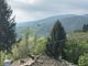 collina di abbadia
