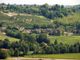 Nuovo appuntamento per Sentiero Verde 2025