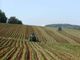 Coldiretti Piemonte: &quot;Accelerare su marchio nazionale per le produzioni biologiche Made in Italy&quot;