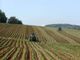 PSR, Confagricoltura Piemonte: &quot;La Regione agevoli l’erogazione dei fondi europei alle imprese agricole con i requisiti&quot;