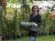 Al Castello di Masino torna, Tre giorni per il giardino: quest'anno l'evento dedicato alla biodiverstà