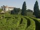 Il Castello di Masino apre eccezionalmente per il weekend di Pasqua