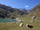 Strada provinciale Valle di Viù: slitta la riapertura del tratto tra Margone e Lago di Malciaussia