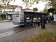 Controlli dei vigili urbani sui bus delle linee 11 e 77. Elevate 49 multe