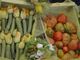 Parte la campagna Coop a sostegno dei piccoli produttori fra Liguria e Piemonte