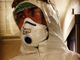 Canalis (Pd): &quot;Cure a domicilio per i casi di covid-19&quot;