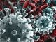 Coronavirus, 25 nuovi contagiati in Piemonte, 23 erano asintomatici