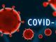 Covid in digitale