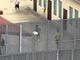 Migrante morto suicida nel Crp, cadono le accuse contro quattro poliziotti