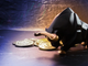 5 nuove cripto pronte a esplodere nella bull run del 2025