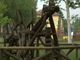 Madonna del Pilone, il “dinosauro” di Luigi Nervo non può essere restaurato