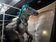 Dinosauro tra gli stand