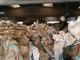 Discarica abusiva a Cumiana, sequestrate oltre 6 mila tonnellate di rifiuti [VIDEO]
