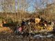 Rimossa la discarica abusiva in corso Regio Parco