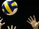 &quot;Neanche un centesimo dalla Regione per i Mondiali di pallavolo a Torino&quot;