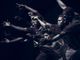La compagnia Fabula Rasa presenta i “Black Fabula” in &quot;Dove cielo tocca mare&quot;