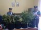 droga sequestrata carabinieri