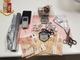 Pusher arrestato all'alba in via Arona