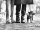 Elliott Erwitt arriva alla Palazzina di Caccia di Stupinigi