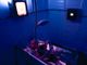 Escape room a Torino: ecco dove festeggiare compleanni ed eventi