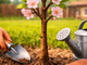 Un ciliegio per il futuro: gli studenti piantano l’albero della salute e della sostenibilità Un ciliegio per il futuro: gli studenti piantano l’albero della salute e della sostenibilità