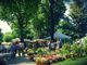 Fossano dà il benvenuto ad Expoflora con espositori provenienti da tutto il Piemonte e Liguria