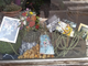 Parella, vetrina-tributo per Felice Gimondi in Piazza Chironi
