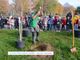Festa degli alberi a Settimo Torinese