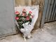 fiori per fatima