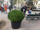 Cinque nuove fioriere per arricchire il verde di via Madama Cristina