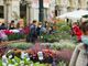 Da venerdì a domenica Torino si colora con l'edizione primaverile di Flor