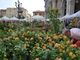Torino riabbraccia la natura, nel weekend in via Roma torna Flor20