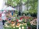 Flor, la mostra mercato che trasformerà il centro di Torino in un grande giardino