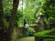 Letture in natura, FLOR e apertura di giardini segreti: torna il Festival del Verde