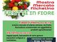 Oggi a Nichelino festa di primavera con "Frutti in fiore"