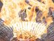 Viaggio nella terra del ghiaccio e del fuoco