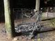 Le fiamme distruggono la &quot;casa dei gatti&quot; sul Lungo Po Michelotti