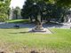 Ai giardini Cavour la messa a dimora di un albero in ricordo di Jina Mahsa Amini
